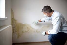 Environmental Consulting for Mold Prevention in Lake Sarasota, FL